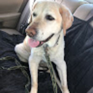 Meet your Posher, Sheri